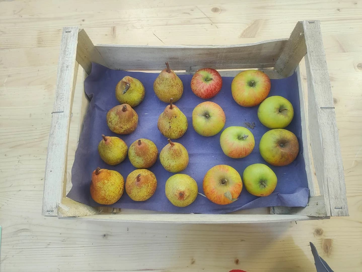 Panier de fruits bio